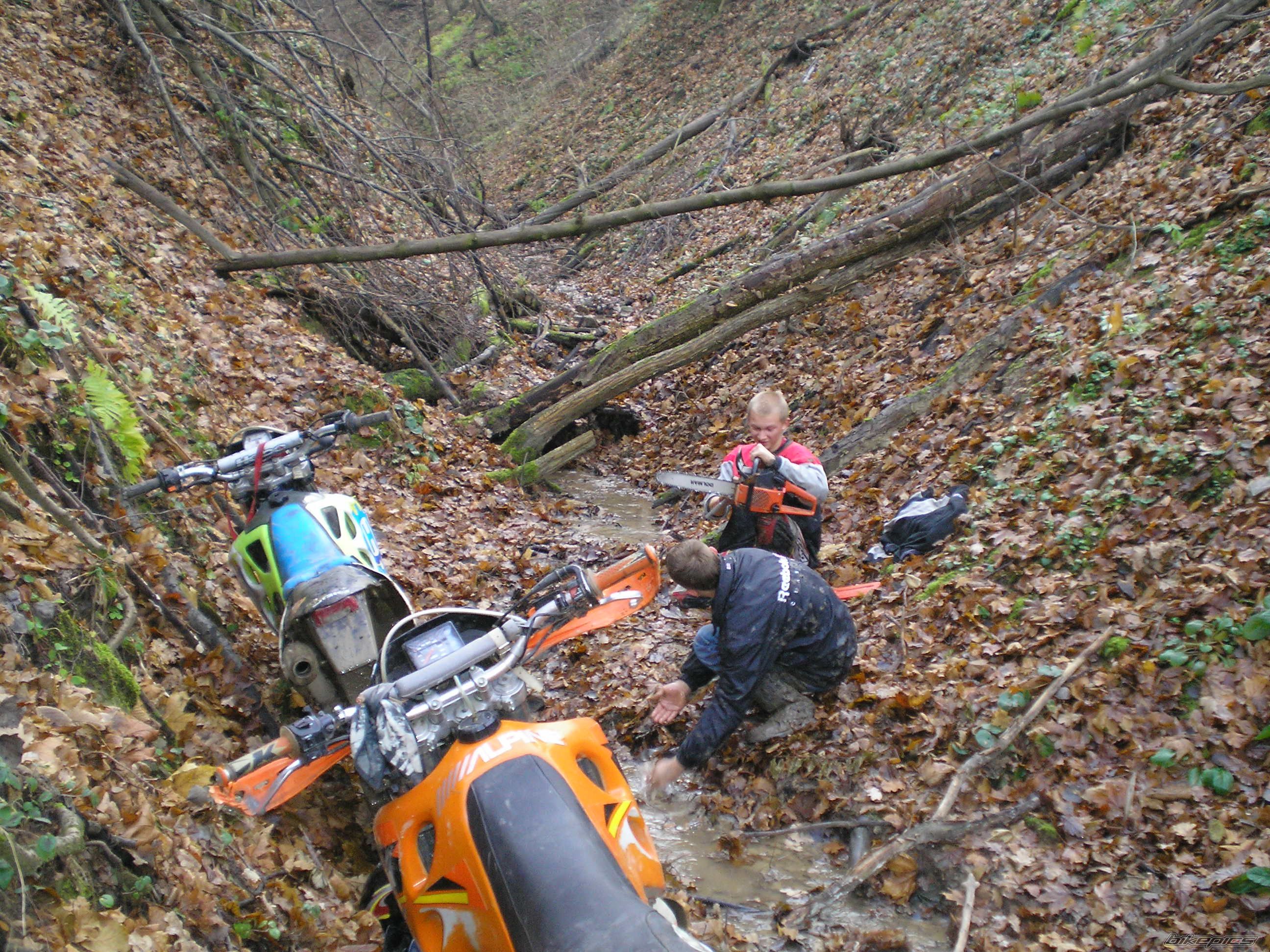 Bike Photo 732437