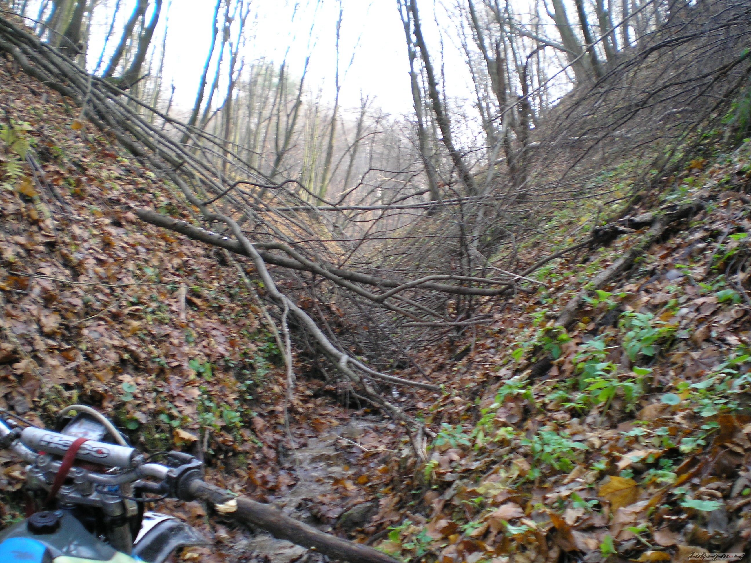 Photo 732440