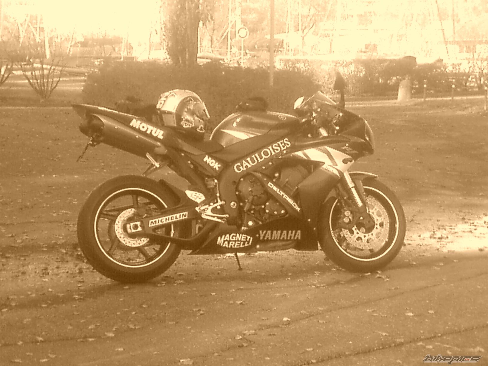 Photo 732454