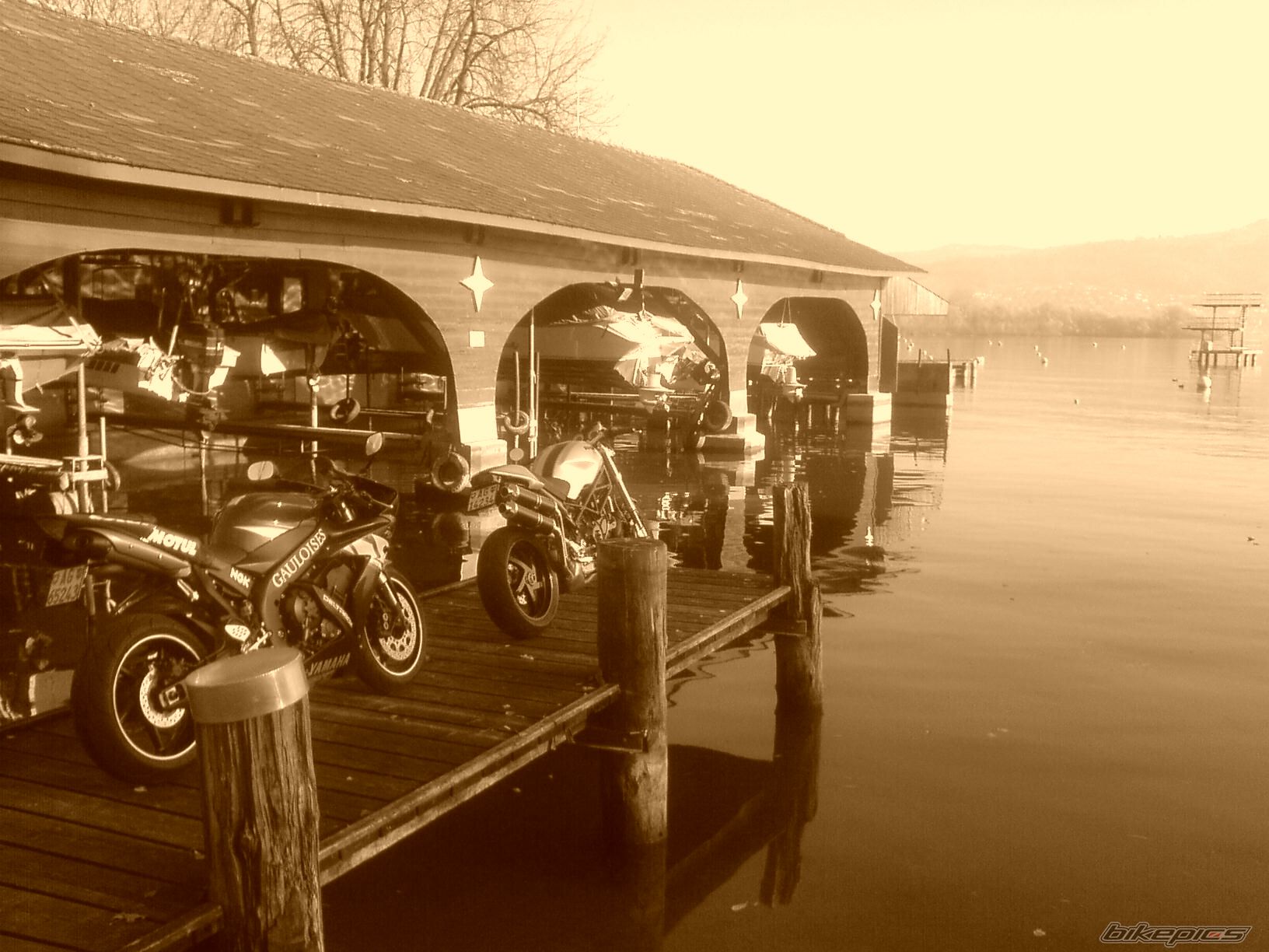 Photo 732461