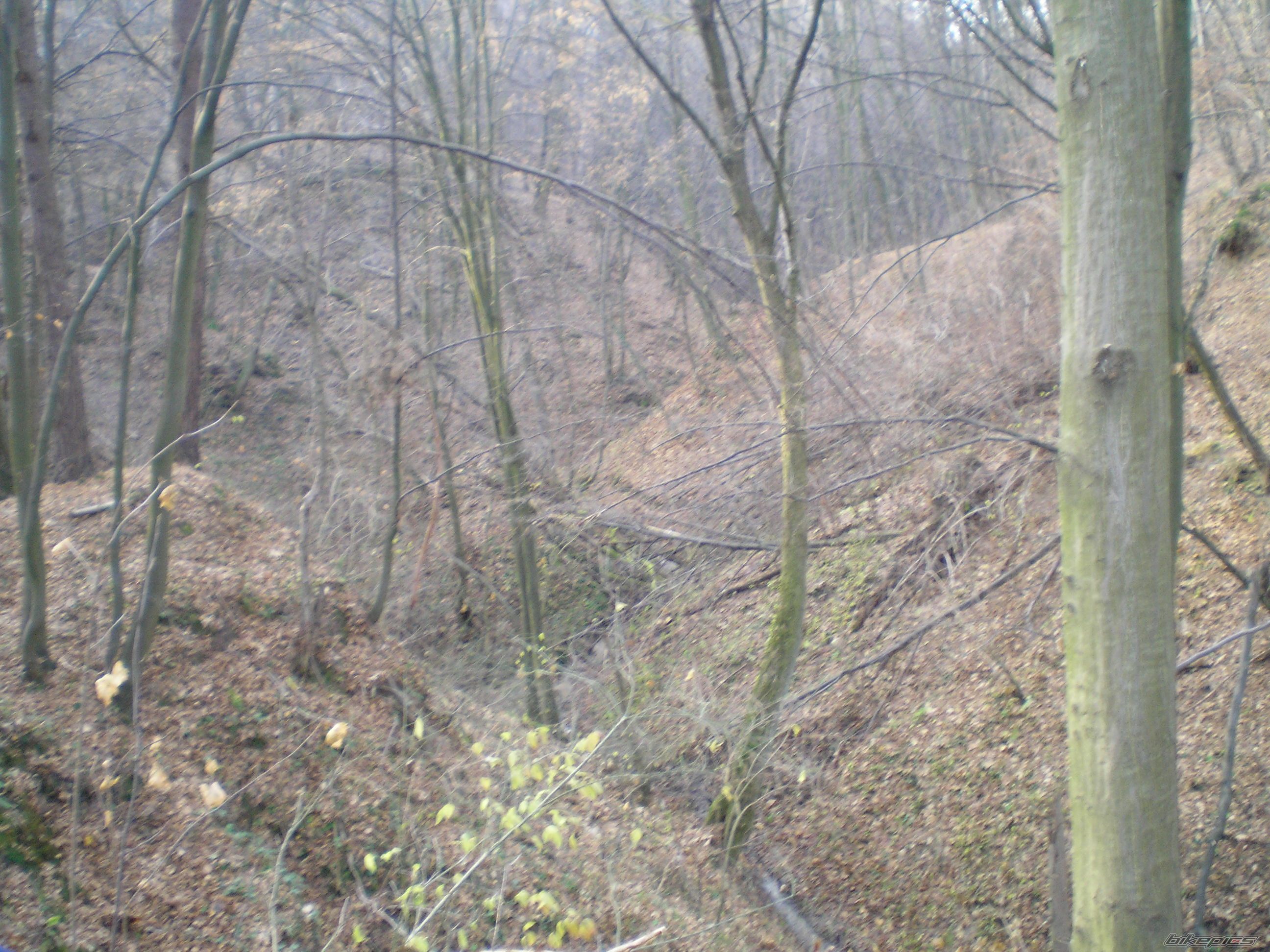 Photo 732465