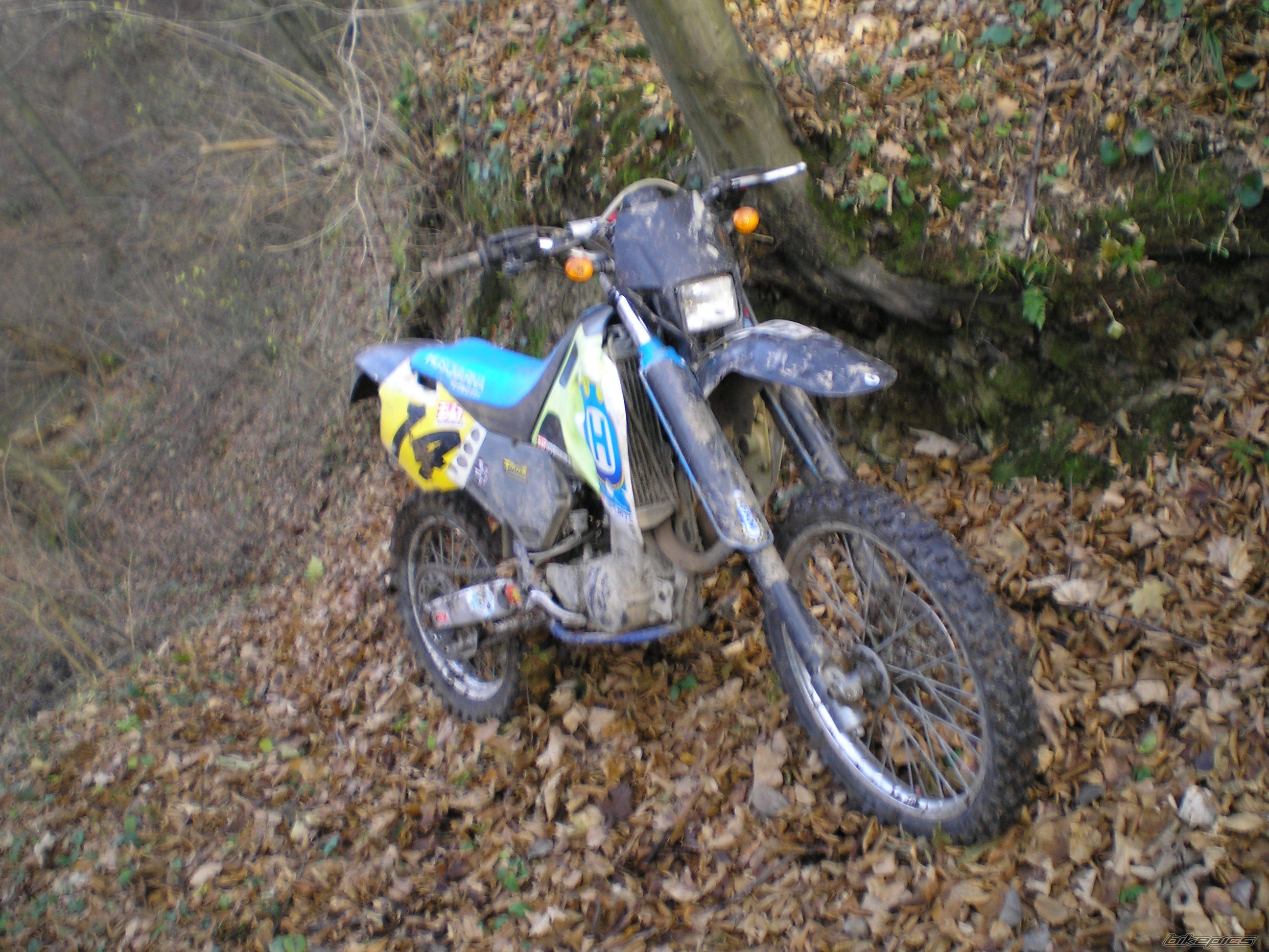 Photo 732469