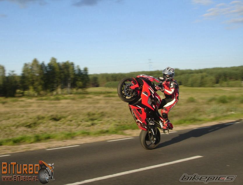 Bike Photo 732517