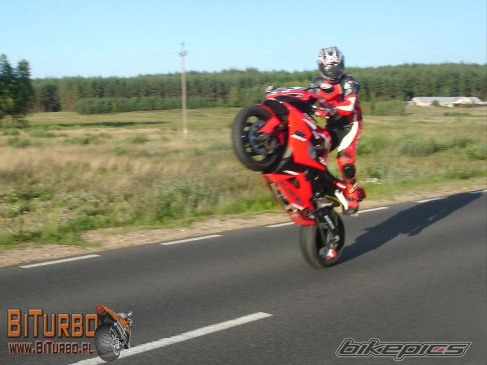 Bike Photo 732520