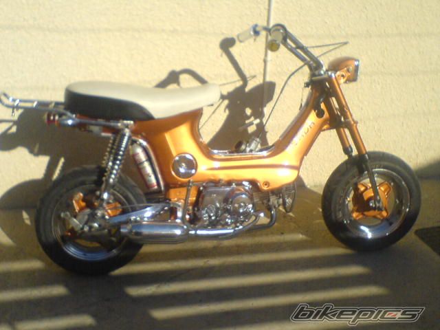 Bike Photo 732560
