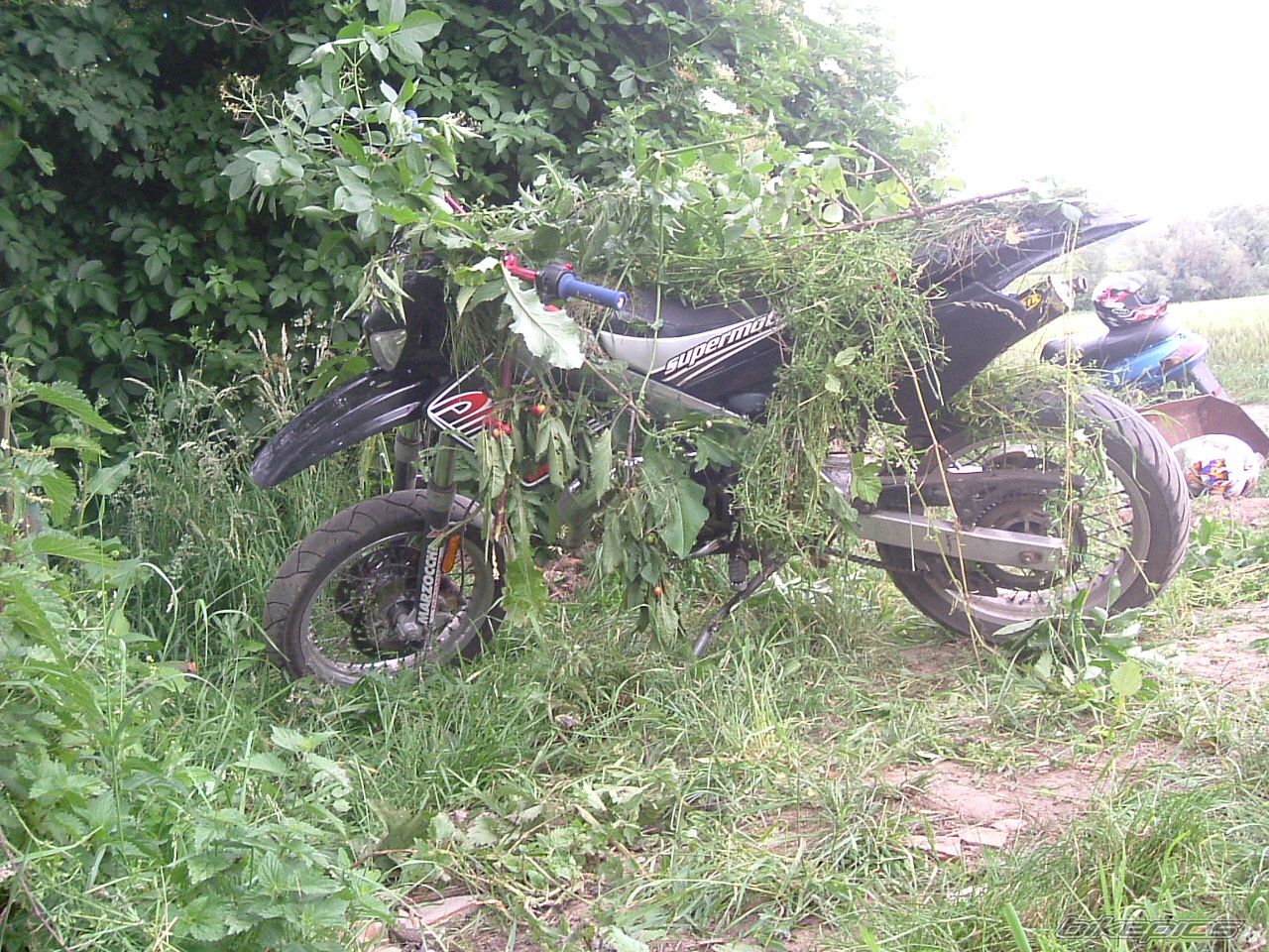 Photo 732618