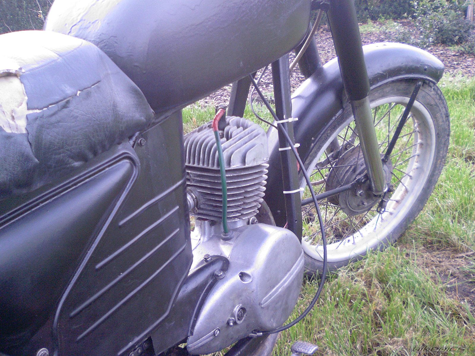 Photo 732645