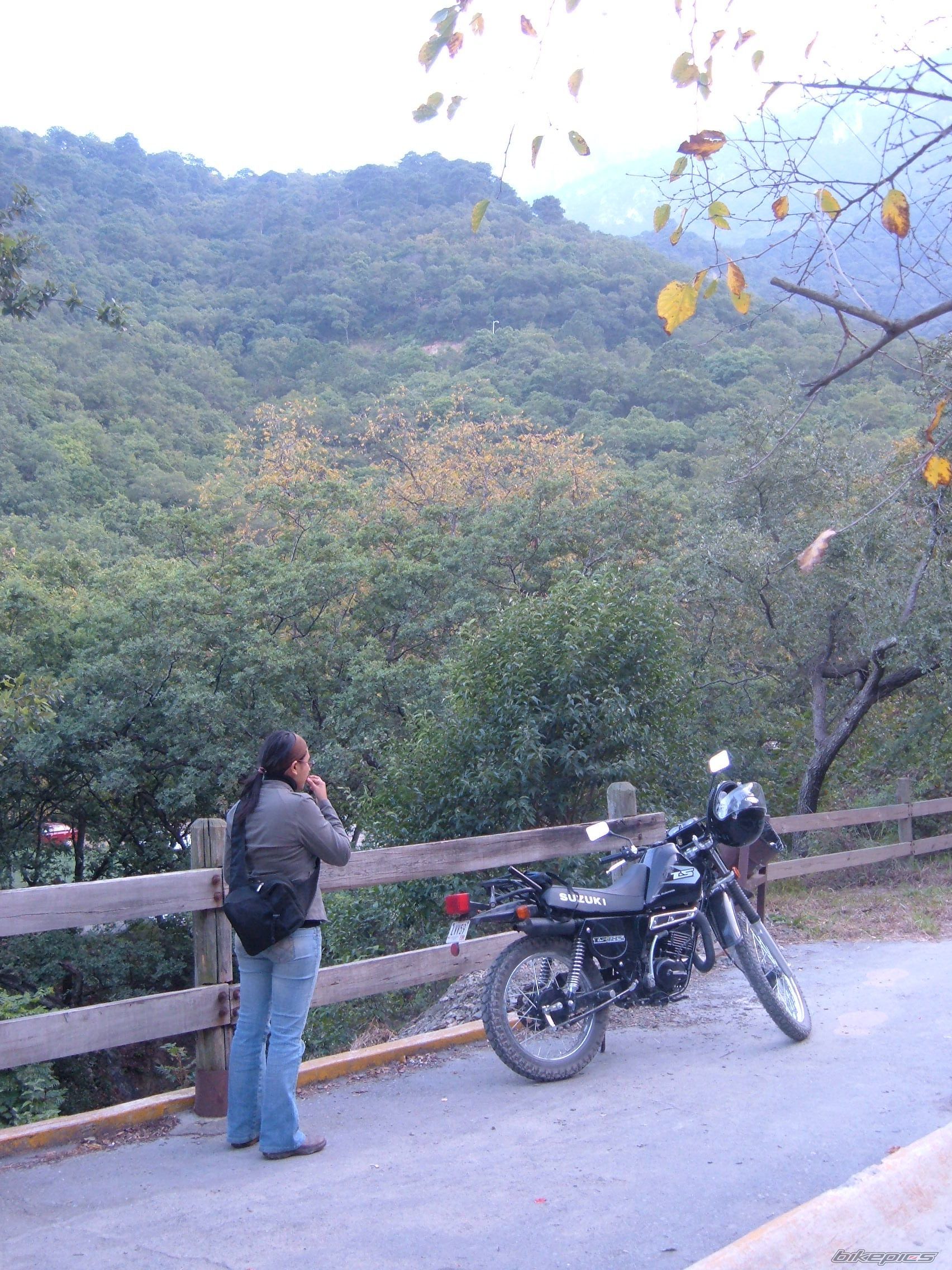 Photo 732902