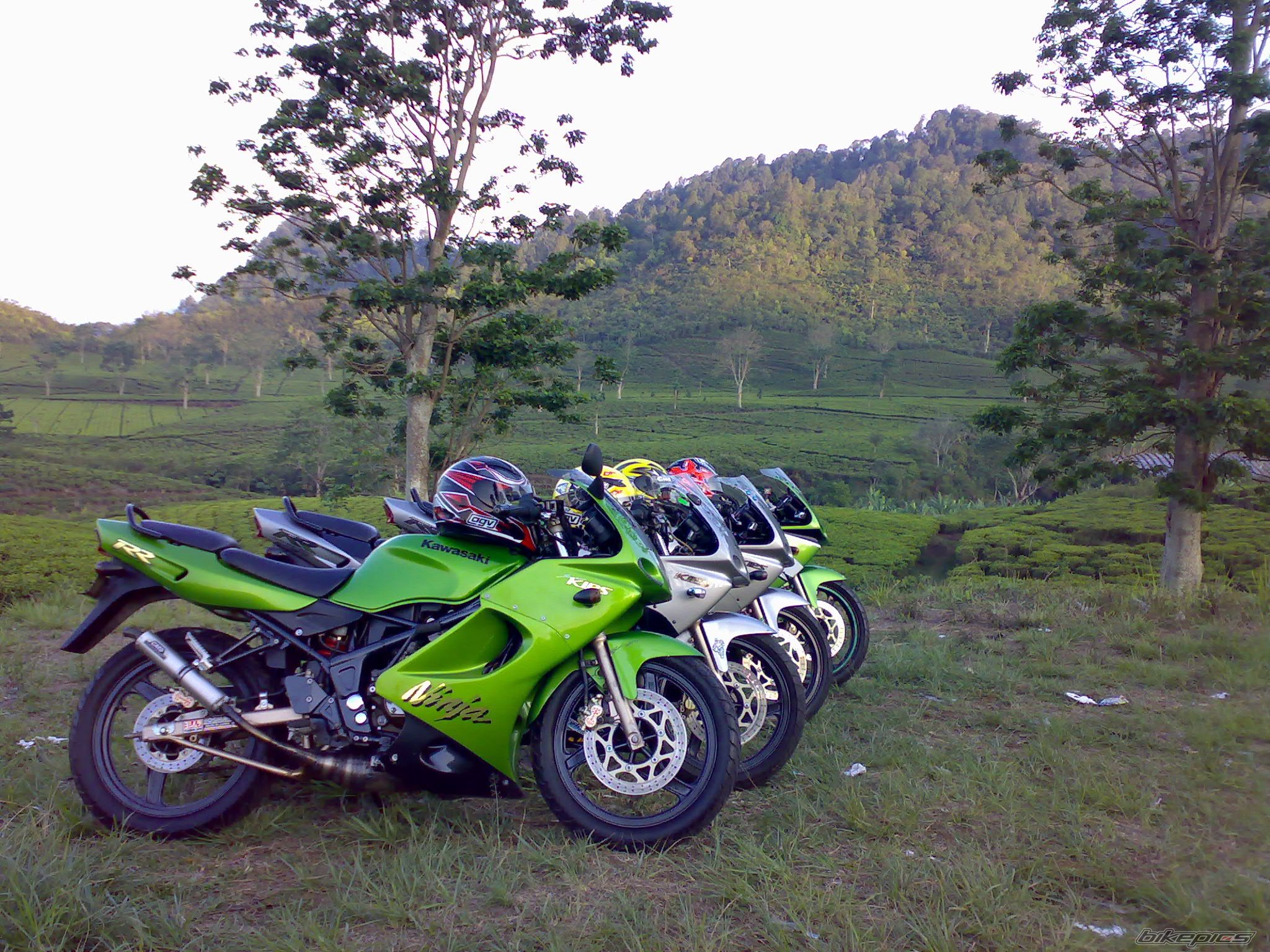 Bike Photo 732915