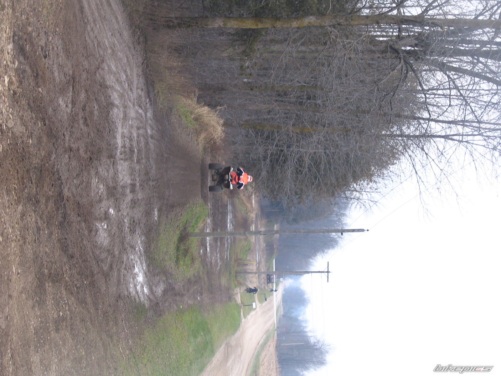 Photo 732931
