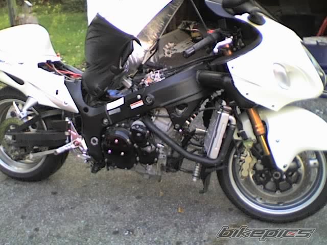 Bike Photo 732949