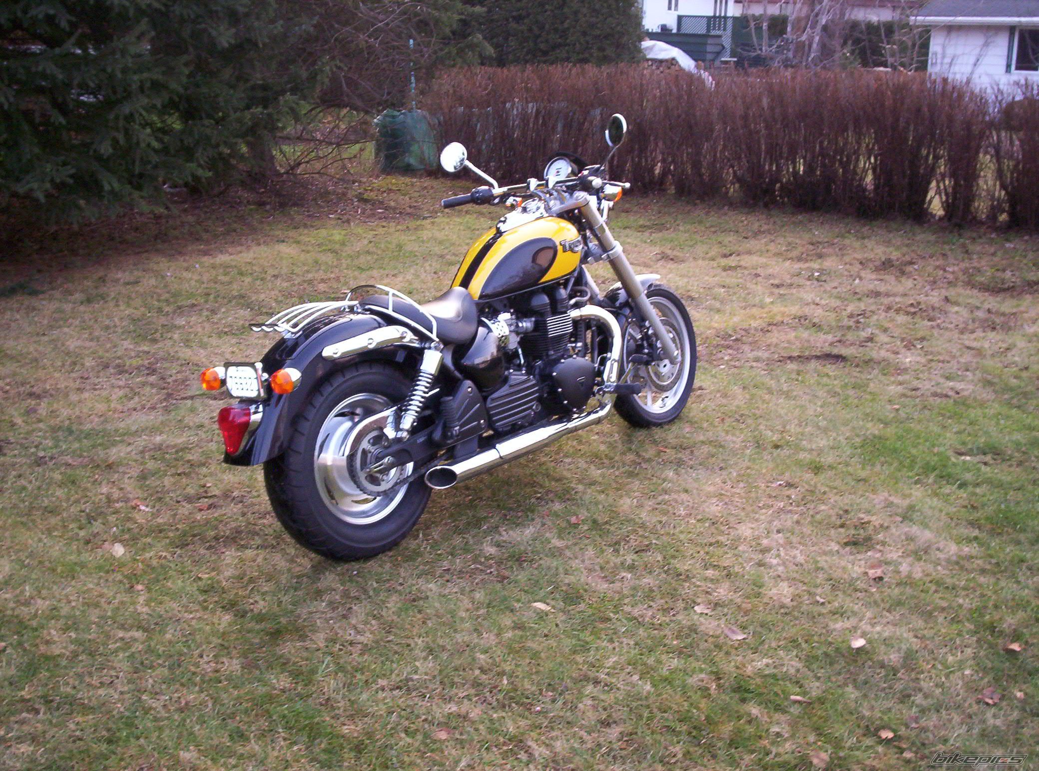 Photo 732979
