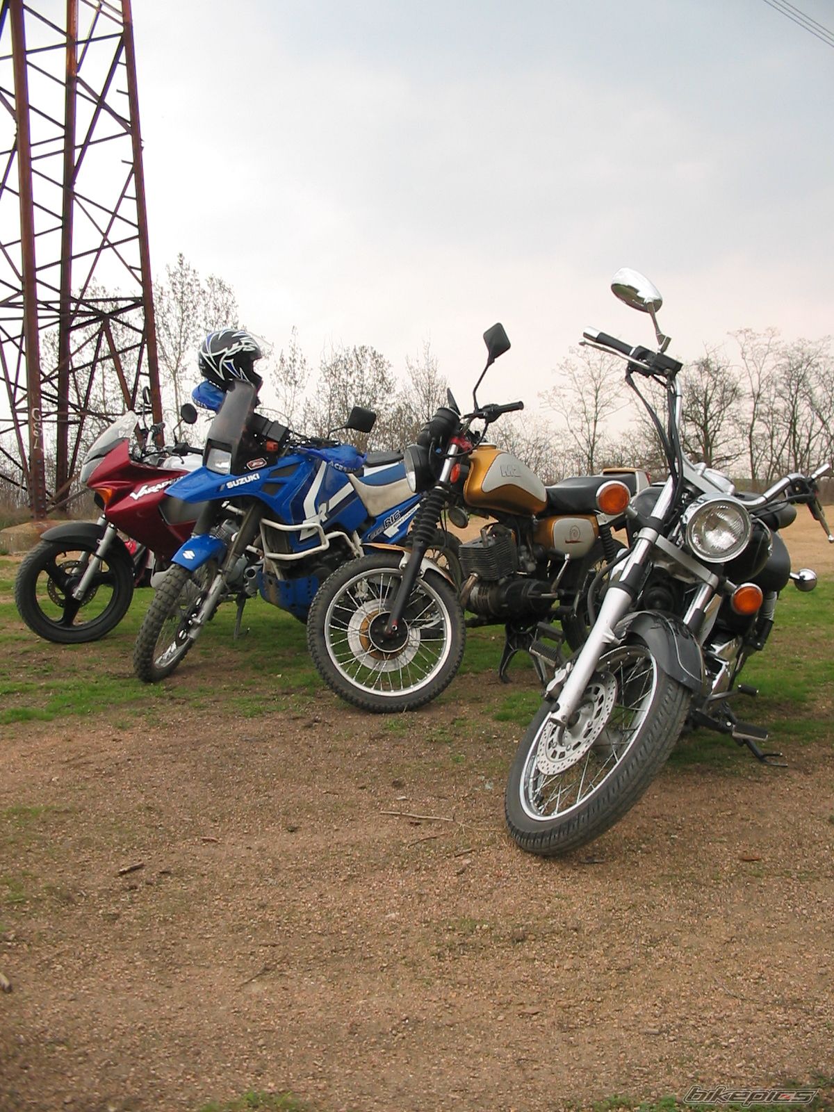 Photo 733012