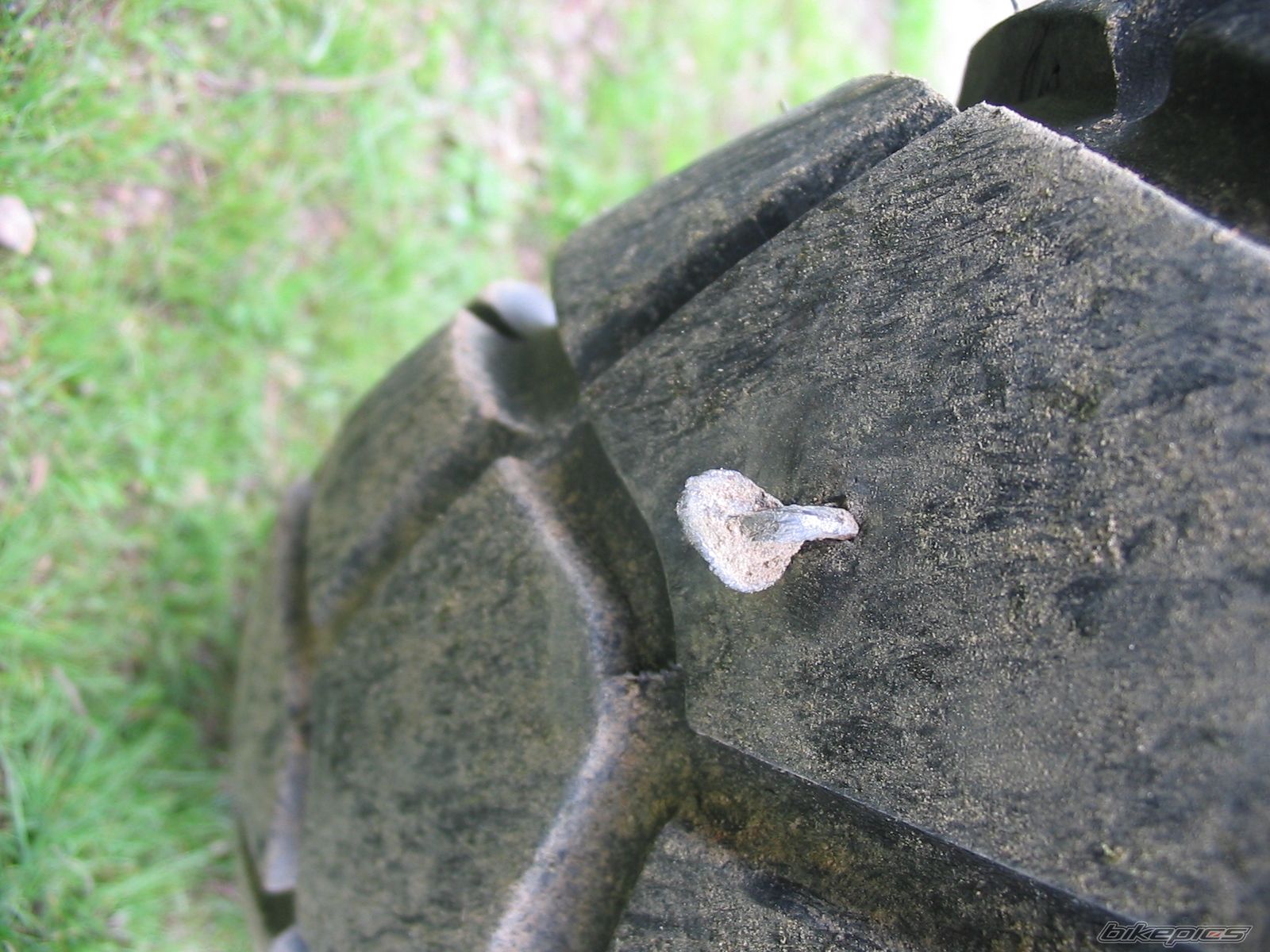 Photo 733018