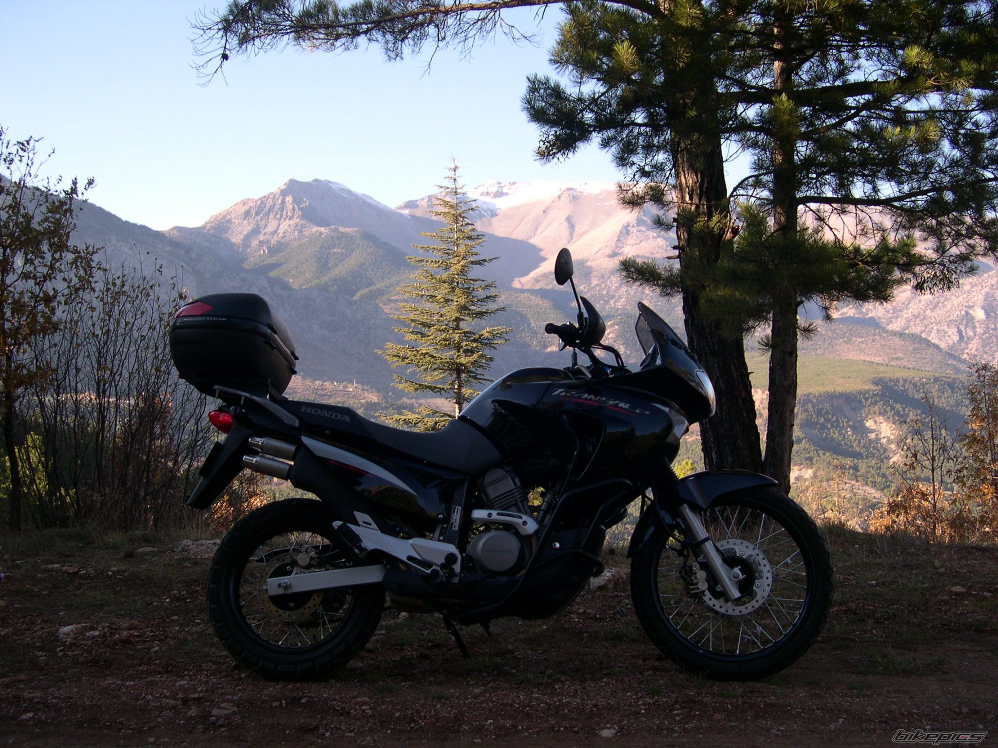 Bike Photo 733199
