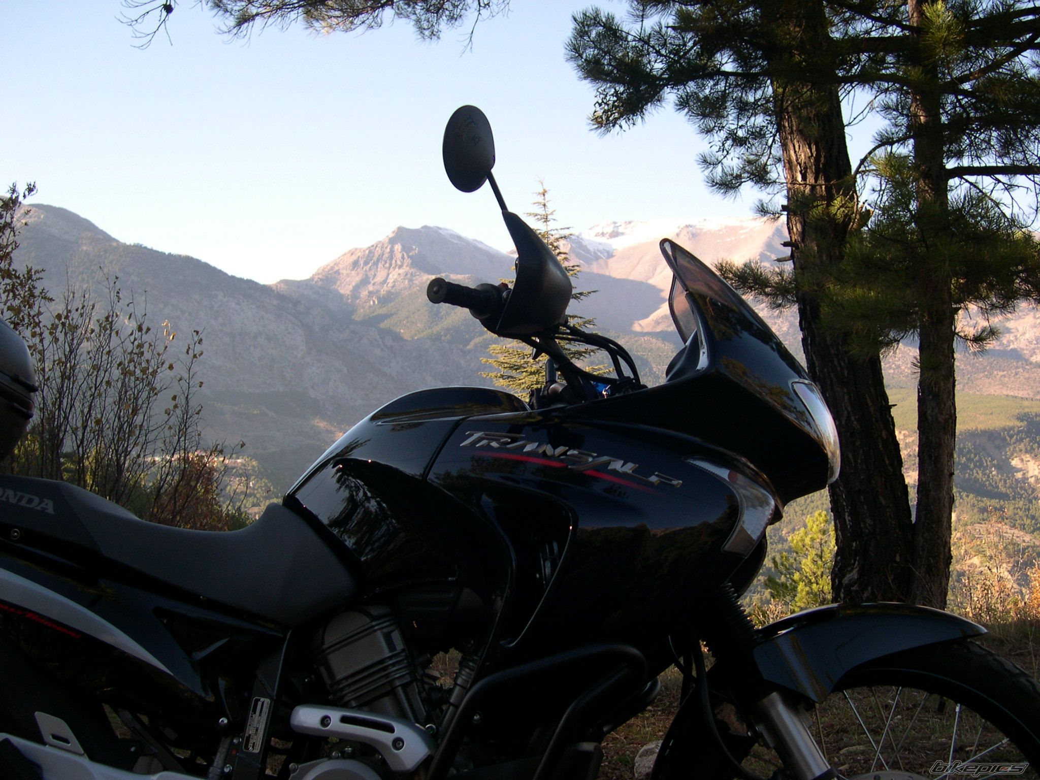Bike Photo 733200