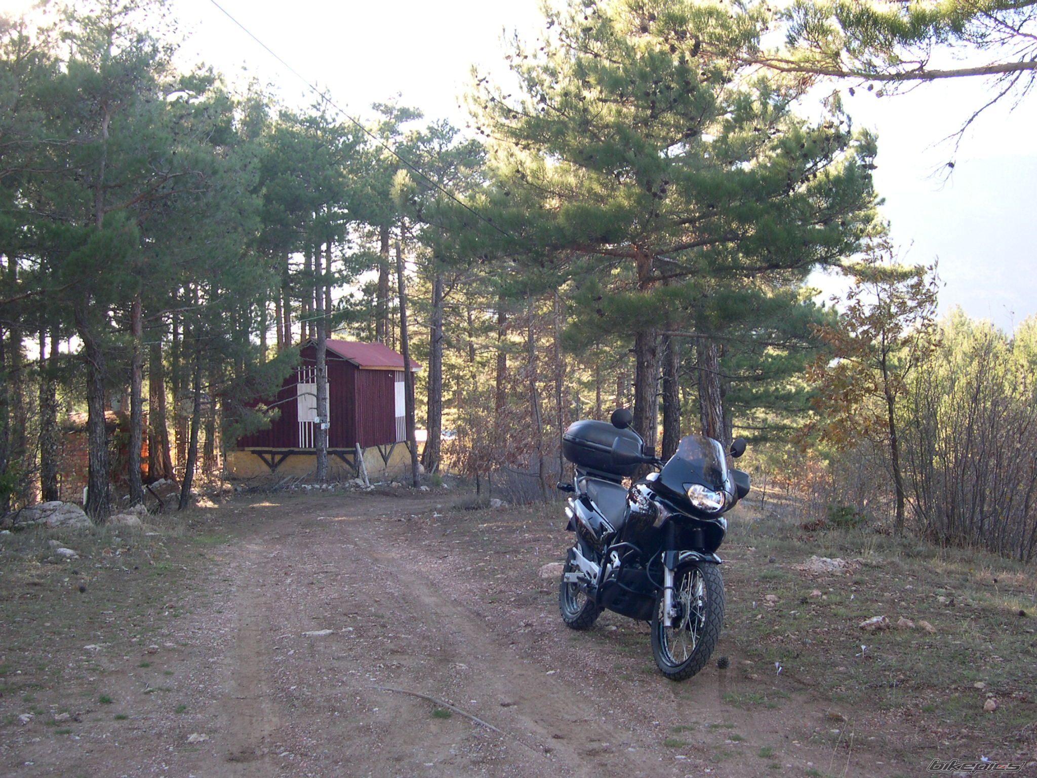 Bike Photo 733201