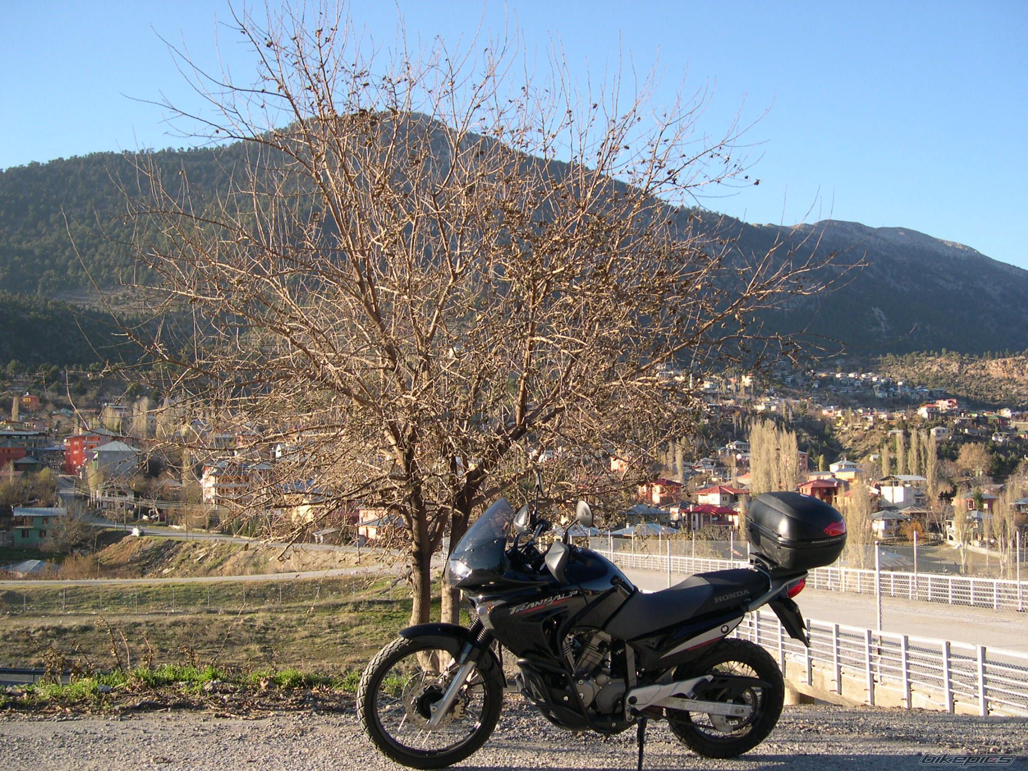 Bike Photo 733205