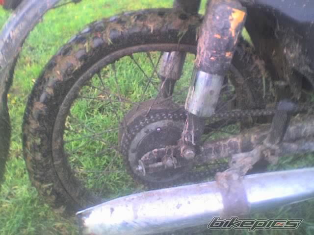 Photo 733216