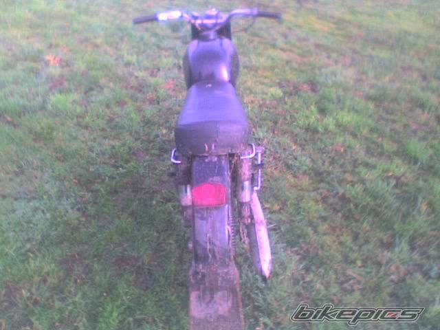 Photo 733219