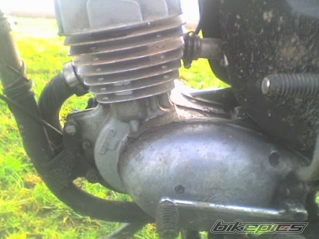 Photo 733222