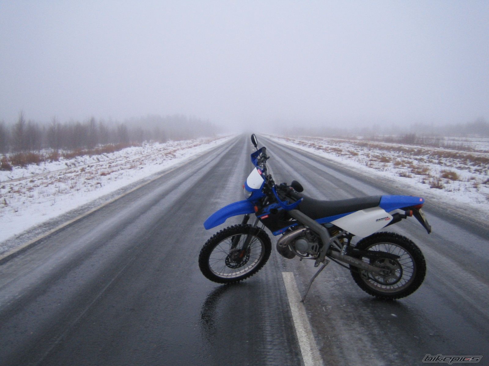 Photo 733272