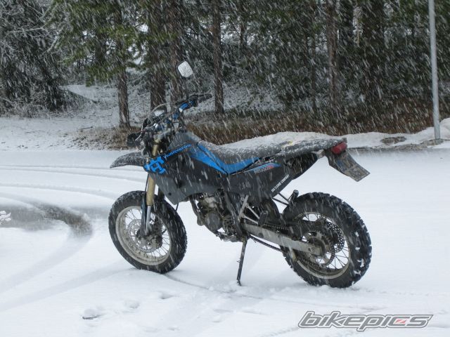 Bike Photo 733346