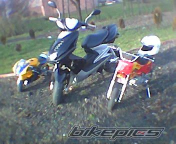 Photo 733351