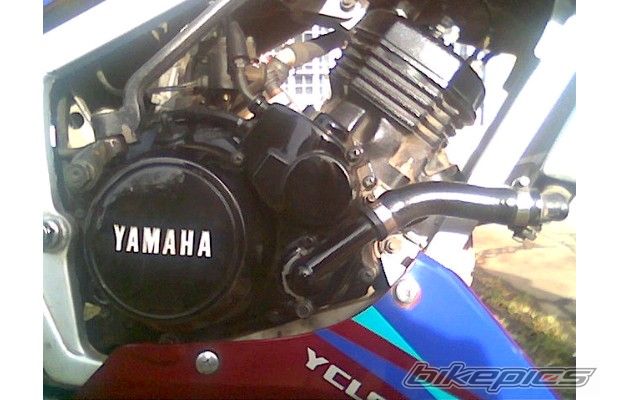 Bike Photo 733386
