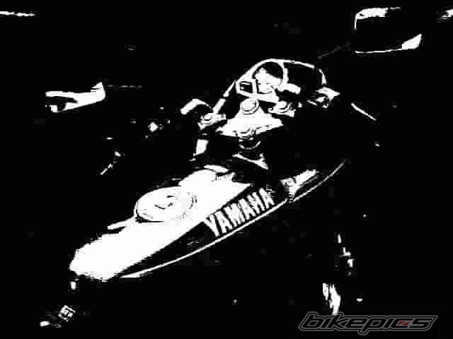 Photo 733395