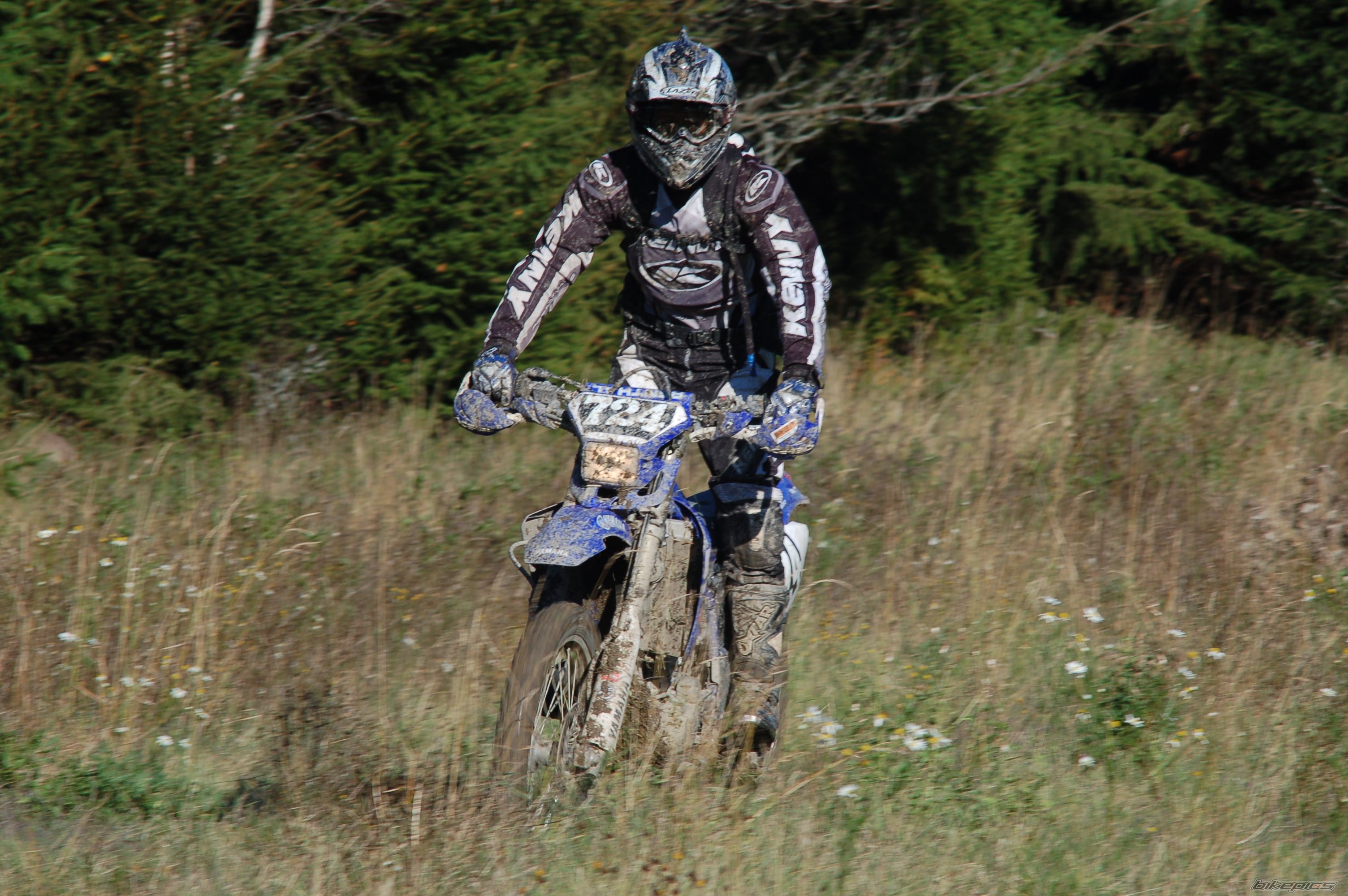 Bike Photo 733546