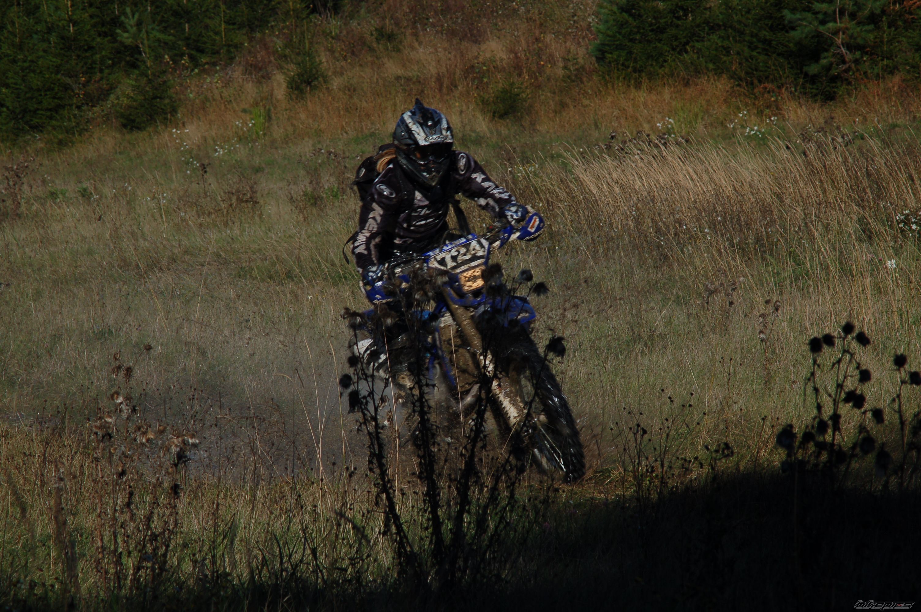 Bike Photo 733552