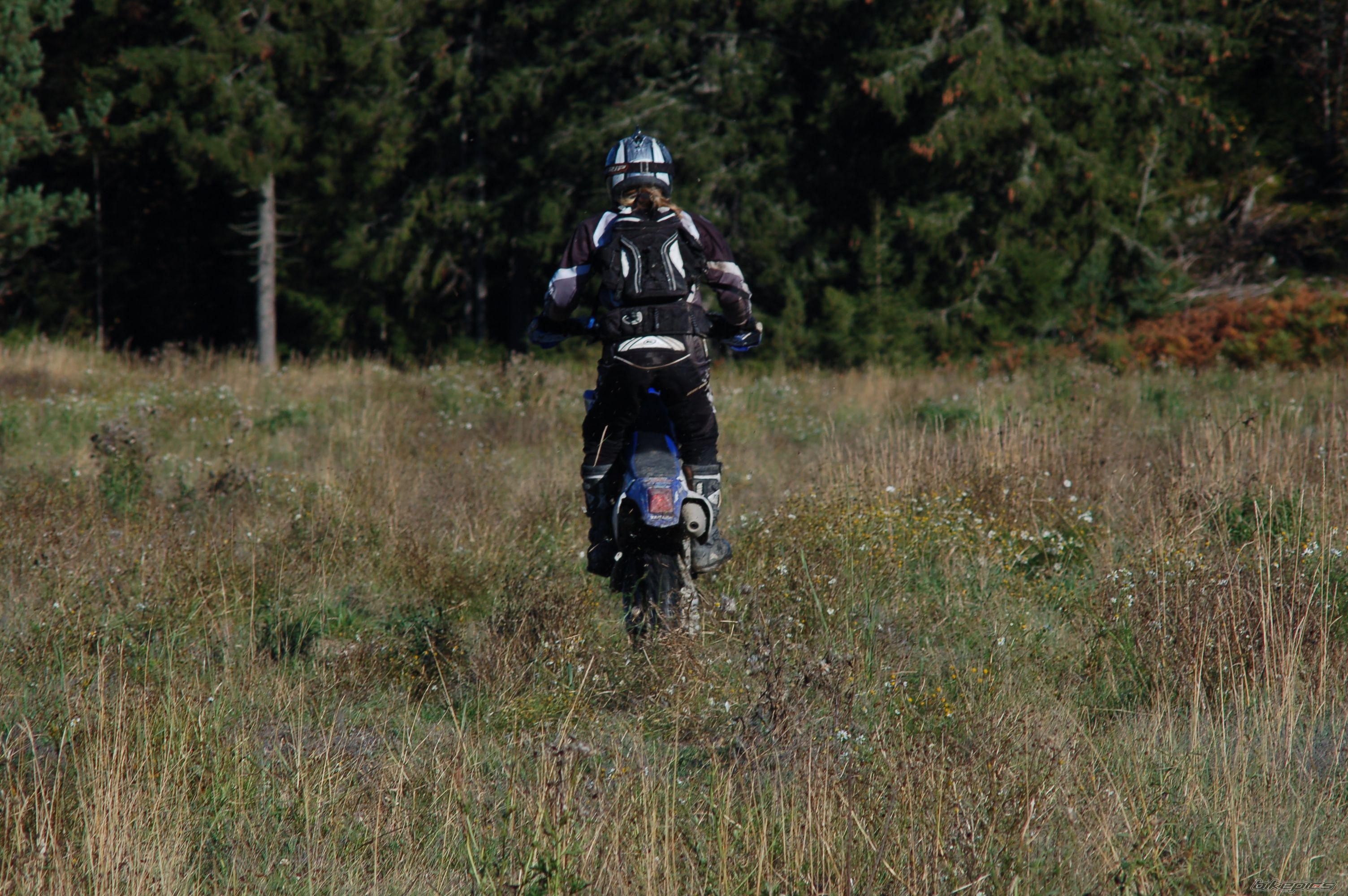 Bike Photo 733554