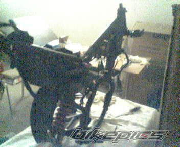 Photo 733662