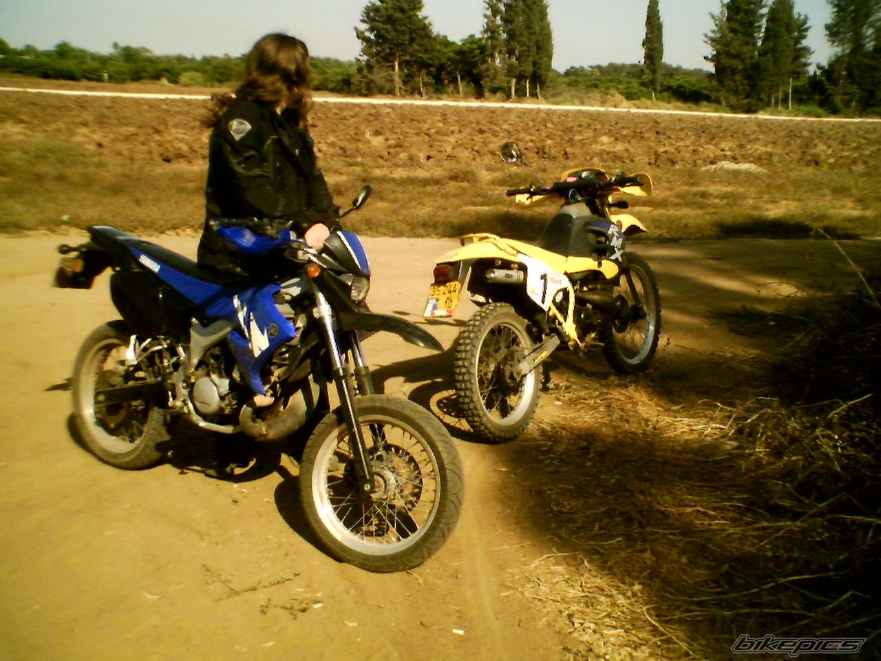 Photo 733663