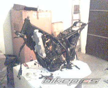 Photo 733664