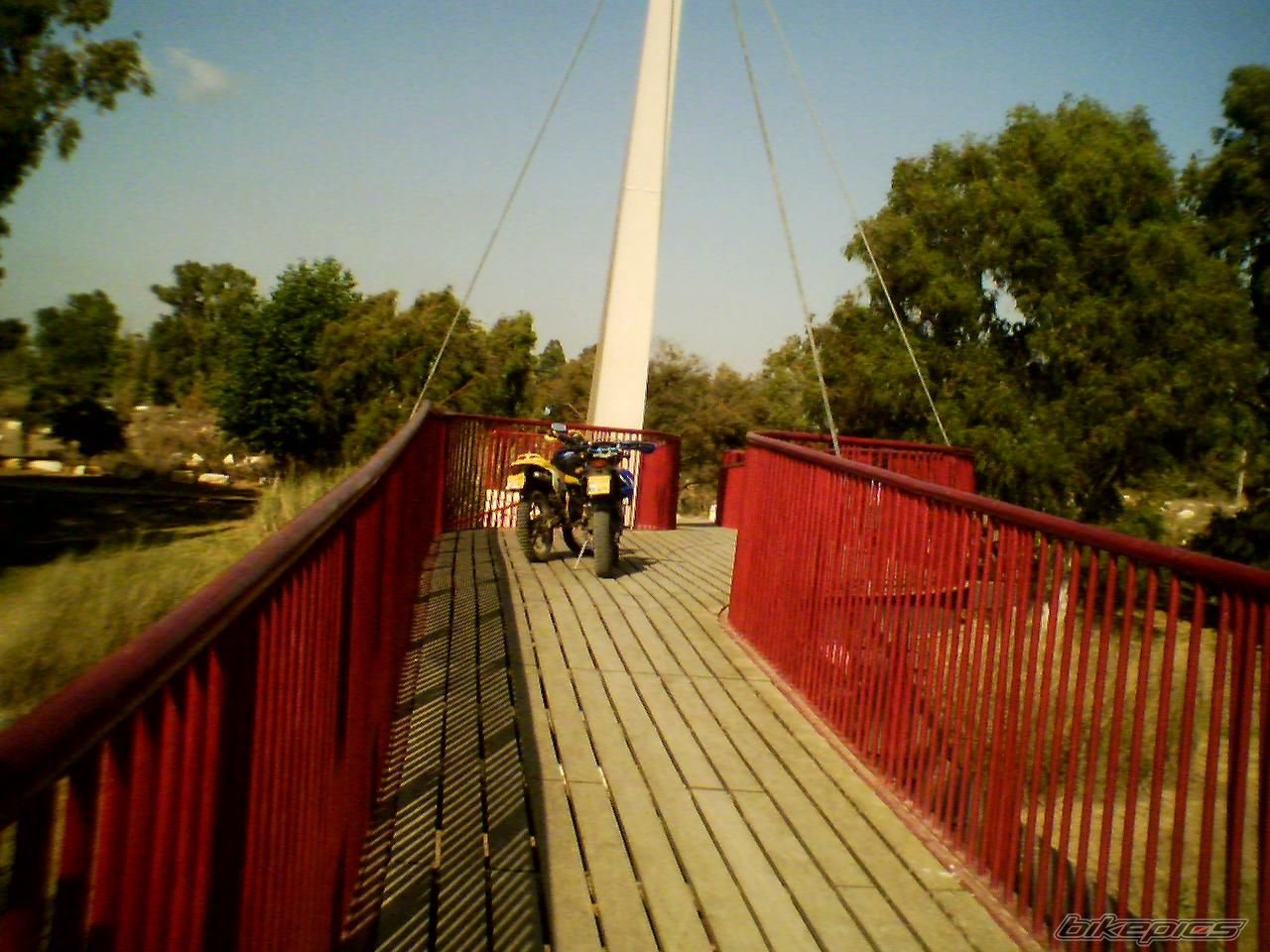 Photo 733666
