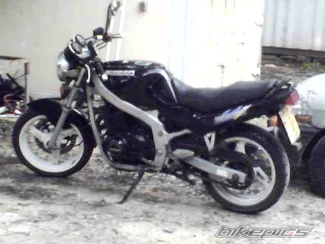 Photo 733685