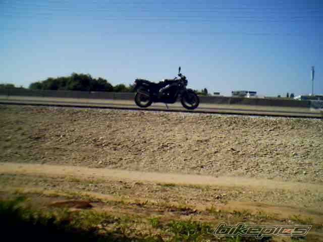 Photo 733686
