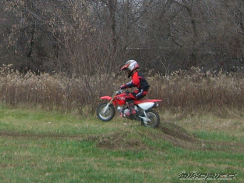 Photo 733691