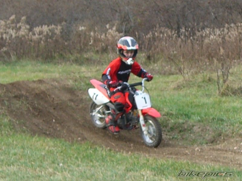 Photo 733692