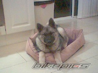 Bike Photo 733753