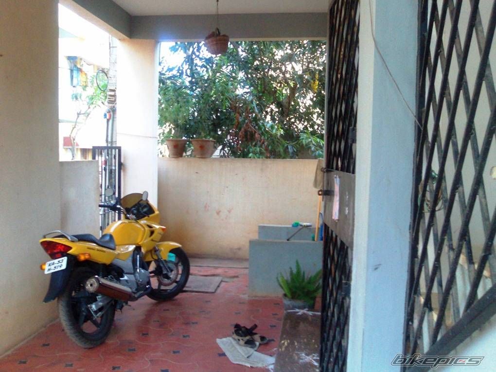 Photo 733761