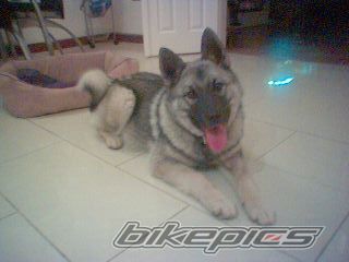 Bike Photo 733762