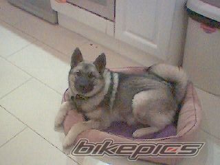 Bike Photo 733763