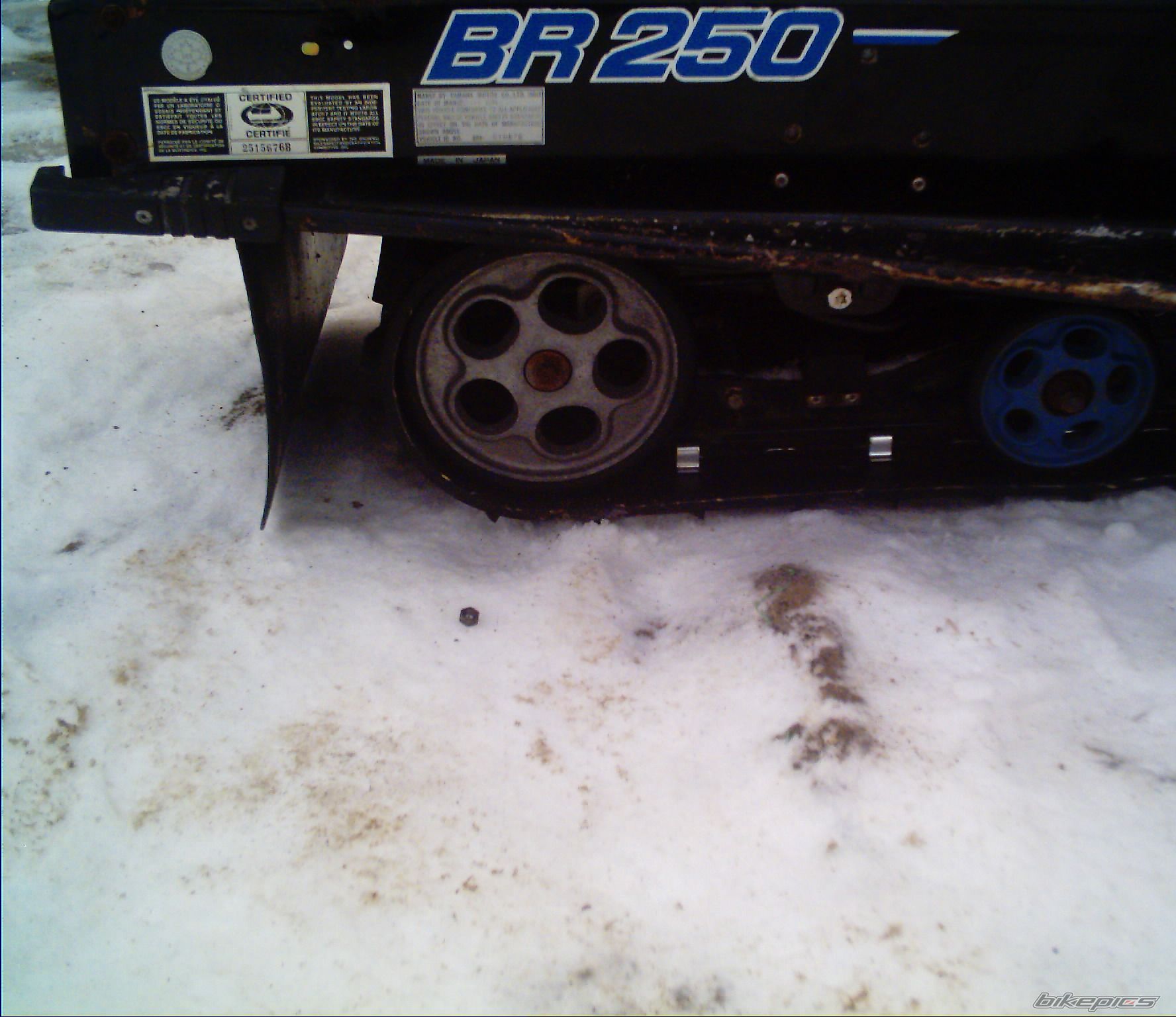Photo 733781
