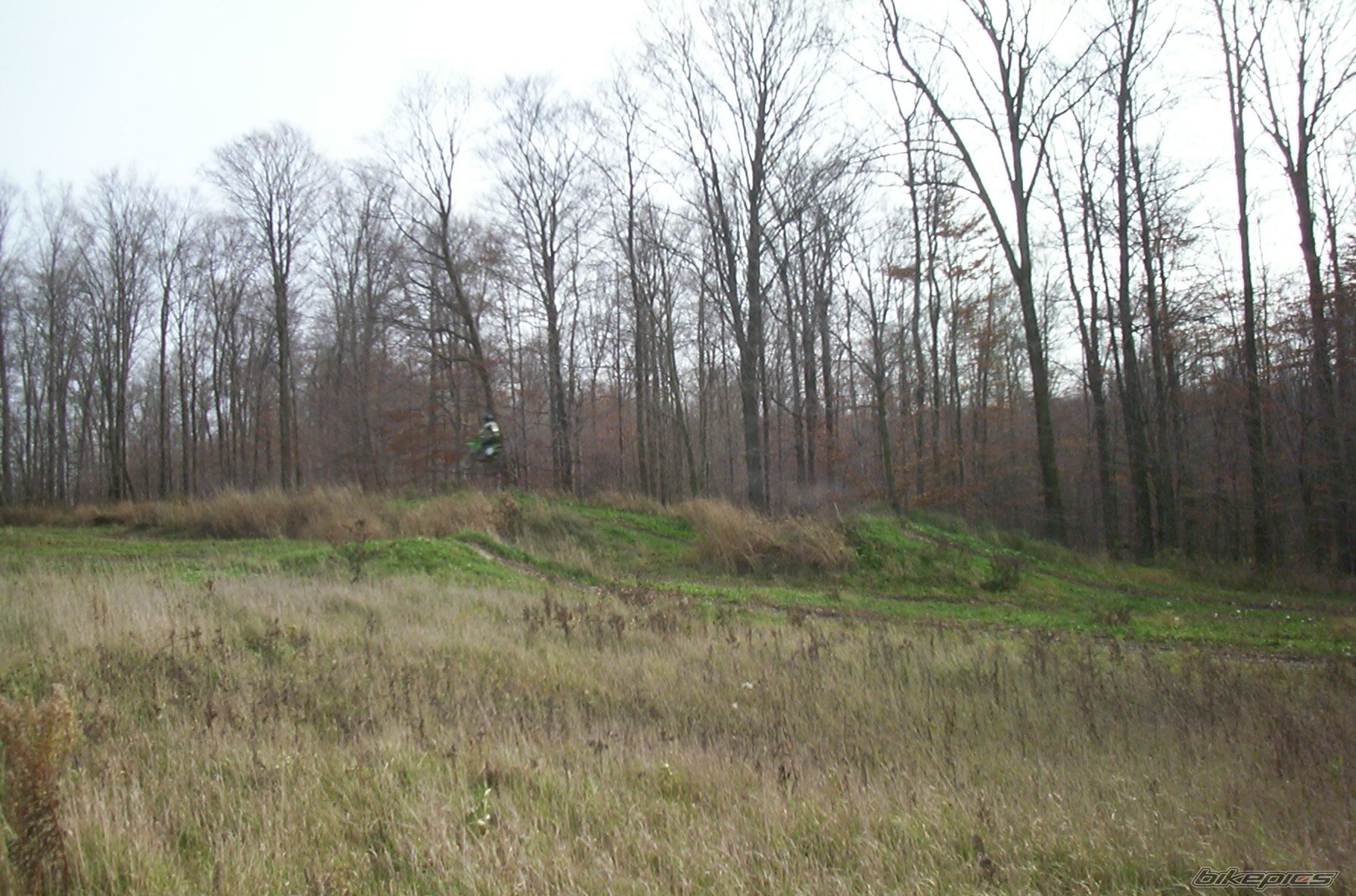 Photo 733846