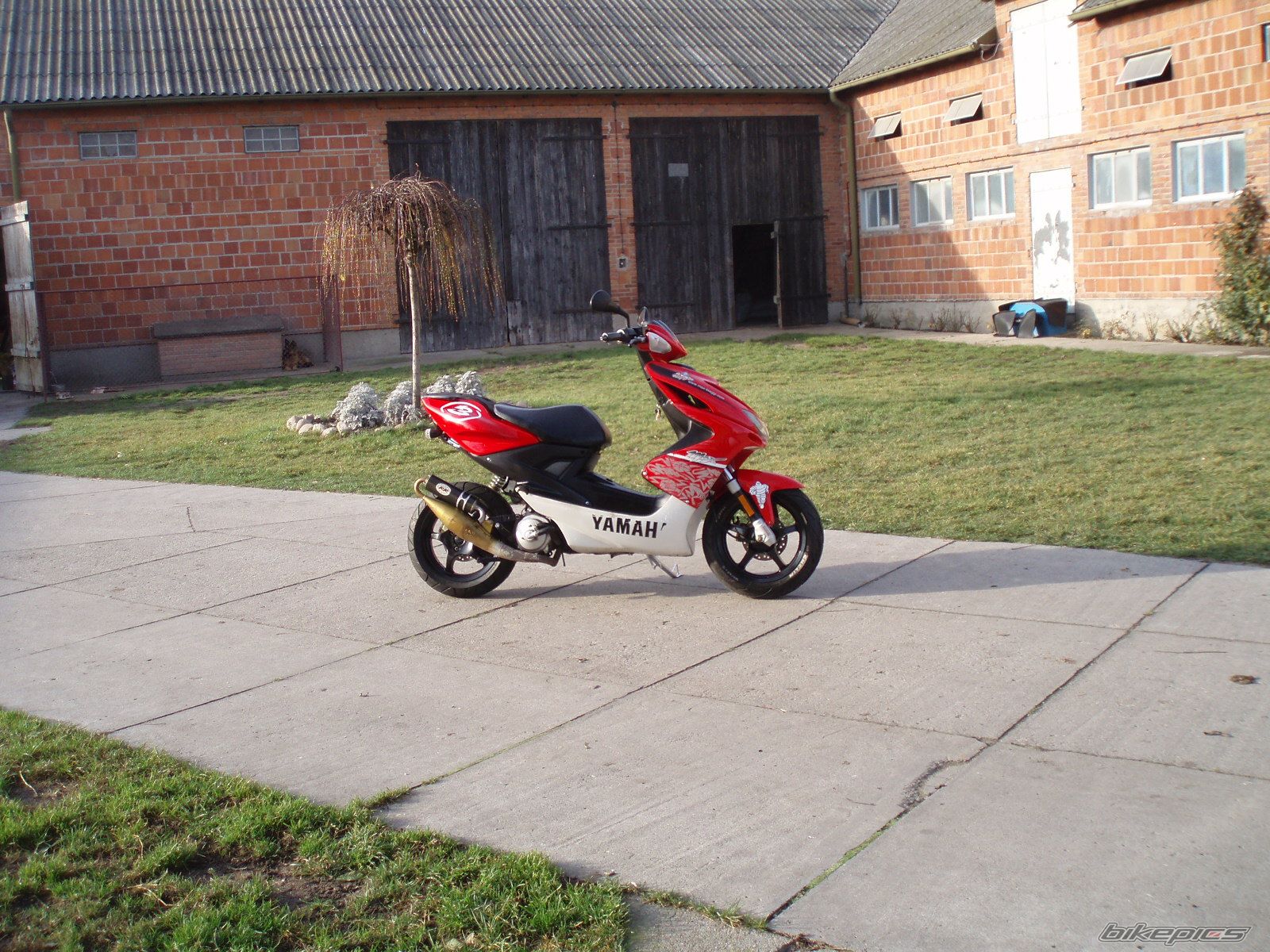 Photo 733889