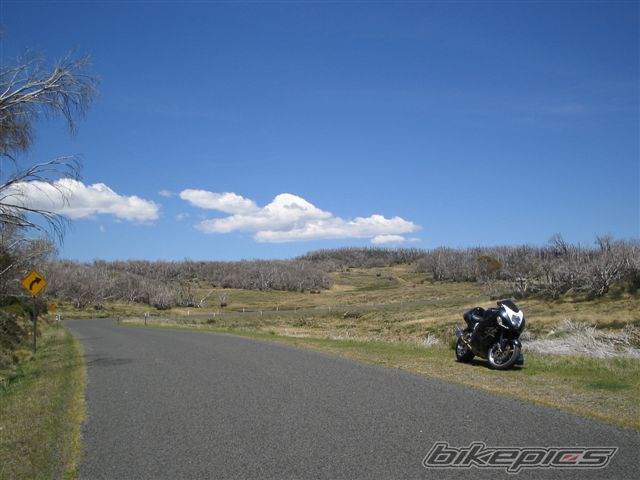 Photo 733899