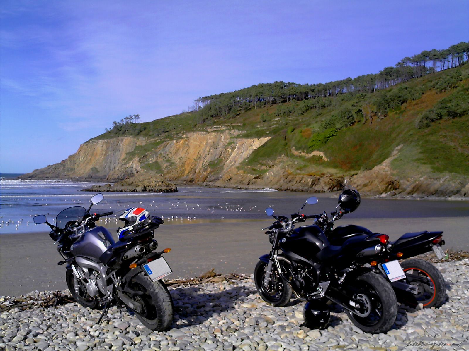 Bike Photo 733916